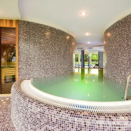 Azur 3* شيوفوك